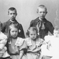 SLM P05-719 - Hanna Ljungwald med åtta barn, cirka 1907
