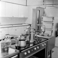 SLM OH0499-3 - Visning av ålderdomshemmet i Råby-Rönö den 14 januari 1963