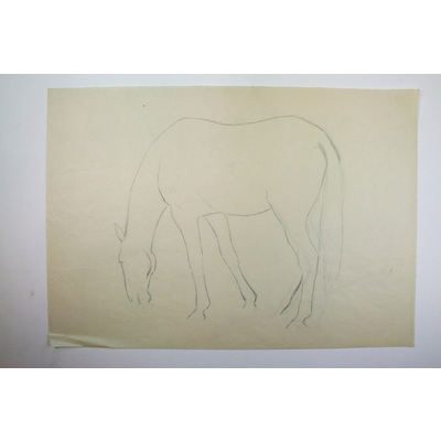SLM 50085 1-2 - Två blyertsteckningar av Bodil Güntzel (1903-1998), häststudier