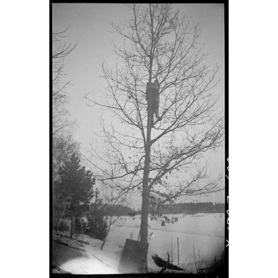 SLM X1703-90 - Klättra i träd