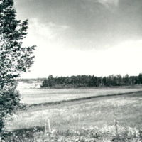 SLM A7-451 - Utsikt över Åsa träsk