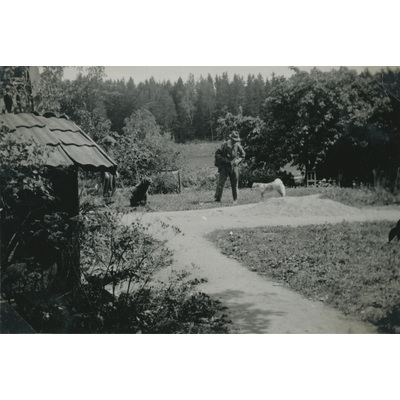 SLM P07-634 - Fritz Andersson och två hundar i trädgården, 1933