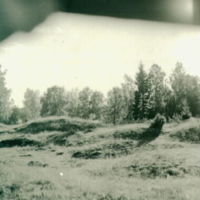 SLM A9-231 - Gravfält vid Björke i Västerljung år 1949