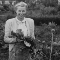 SLM P09-860 - Ingrid Brodin med jätterädisa 18-19 september 1944, Katrineborg i Vadsbro socken