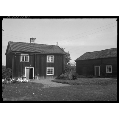 SLM X1354-80 - Nybble gård