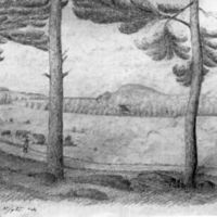 SLM M021372 - Skog, teckning av Knut Bergenstråle, 1885