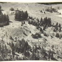 SLM M014222 - Uppsa kulle år 1949