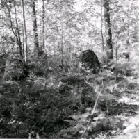SLM M034542 - Högvakten-gravfältet söder om Bönsta herrgård