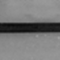 SLM 545 - Käpp med silverknopp märkt C. P. C. S.
