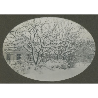 SLM P09-1560 - Trädgård i vinterlandskap