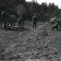 SLM M027545 - Vårbruk vid Espedal, Husby-Oppunda, Georg och Martin Åkerman, Simon Lindström på 1920-talet