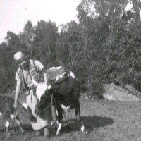 SLM M032718 - Kvinna med ko och kalv vid Björkliden