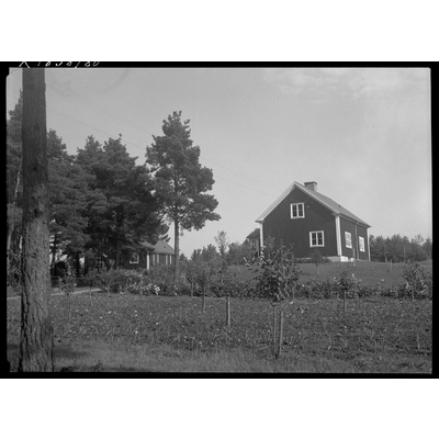 SLM X1858-80 - Bostadshus och trädgård