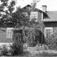 SLM M019129 - Hus och trädgård, Tärby i Vallby socken