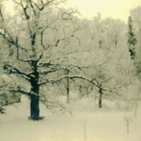 SLM M017237 - Vinterbild från parken, Hårby säteri