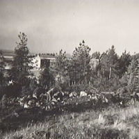 SLM M009385 - Bronsåldersrösen vid Hållsta år 1944