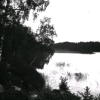 SLM Ö495 - Skogsparti med sjö