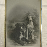 SLM 22480 - Två hundar omkring år 1900