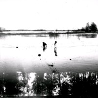 SLM Ö784 - Hundar badar i sjön