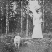 SLM P09-783 - Cecilia (senare af Klercker) och en gris år 1903