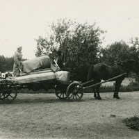 SLM P11-5834 - Charlotte på hästransport i trädgården på Mörkhulta