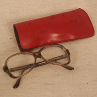 SLM 31500 1-2 - Glasögon