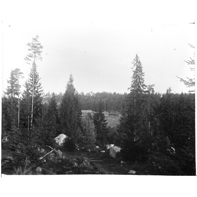 SLM X01-116 - En gård i Sköldinge socken