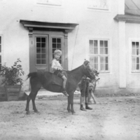 SLM P05-344 - Två pojkar med häst och hund