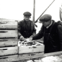SLM POR57-5340-4 - Strömmingsfiskare vid Hummelvik 1957