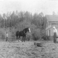 SLM P09-1579 - Jordbruk, plöjning troligen vid Lövsta, Rogsta i Stigtomta socken