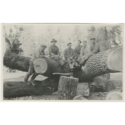 SLM P2022-0487 - Gruppfoto vid fälld trädstam