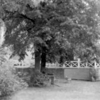 SLM S25-86-6 - Trädgård med paviljong på Sundby sjukhusområde vid Strängnäs 1986