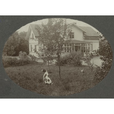 SLM P09-1488 - Hund och höna i trädgård framför hus