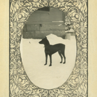 SLM P11-5946 - Anna Indebetous hund Zara vid Villa Betuwe