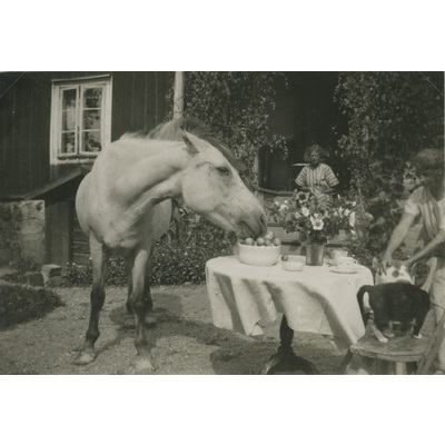 SLM P07-510 - Systrarna Hall och en häst i trädgården vid Björktorp