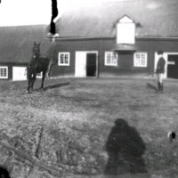 SLM Ö612 - Hästdressyr på ladugårdsbacken vid Ökna säteri i Floda socken