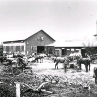 SLM A17-535 - Djur och vagnar samt hjul på gården i Nyköping
