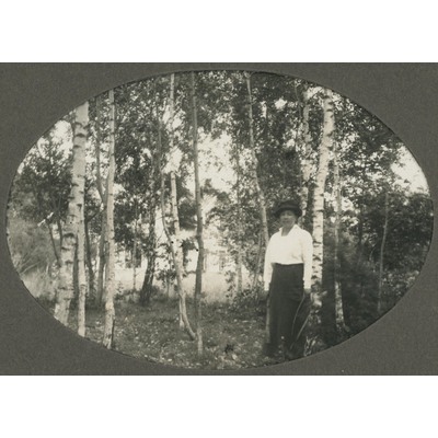 SLM P09-1470 - Kvinna i en björkskog