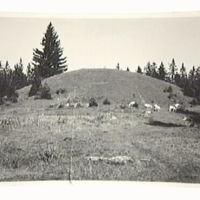 SLM M014233 - Uppsa kulle i Runtuna socken år 1935