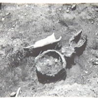 SLM M010632 - Grav nummer 7, hästkranium och kruka i graven