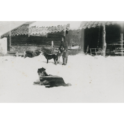 SLM P07-321 - En kvinna och tre hundar i snön på en gårdsplan