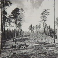 SLM A5-246 - Axsjöliden, fornlämning öster om väg 223 vid Laxne