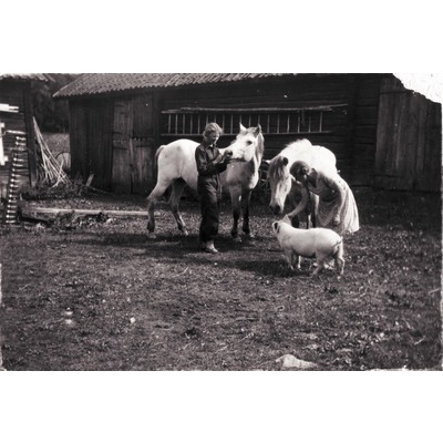 SLM R173-99-5 - Systrarna Karin och Lisa Hall på Björktorp, med hästar och gris