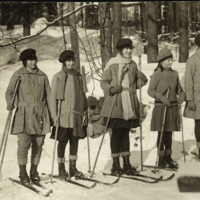 SLM P08-2173 - Fem ungdomar på skidor i skogen