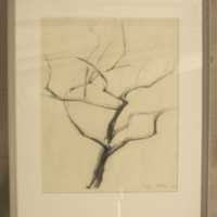SLM 31440 - Blyertsteckning, träd, av Ingvil Stille
