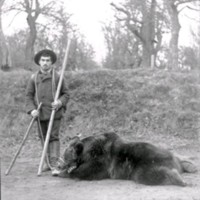 SLM Ö746 - Man och björn med munkorg