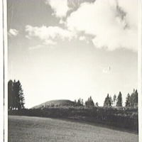 SLM M014219 - Uppsa kulle omkring 1950