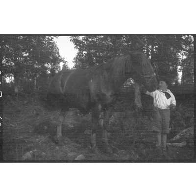 SLM X1983-90 - Hästen och hans pojke