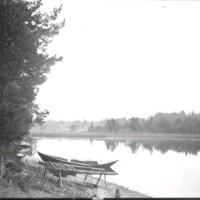 SLM Ö467 - Landskapsbild, eka vid sjön