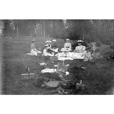 SLM Ö706 - Familjen Åkerhielm med vänner på utflykt, picknick i en skogsbacke